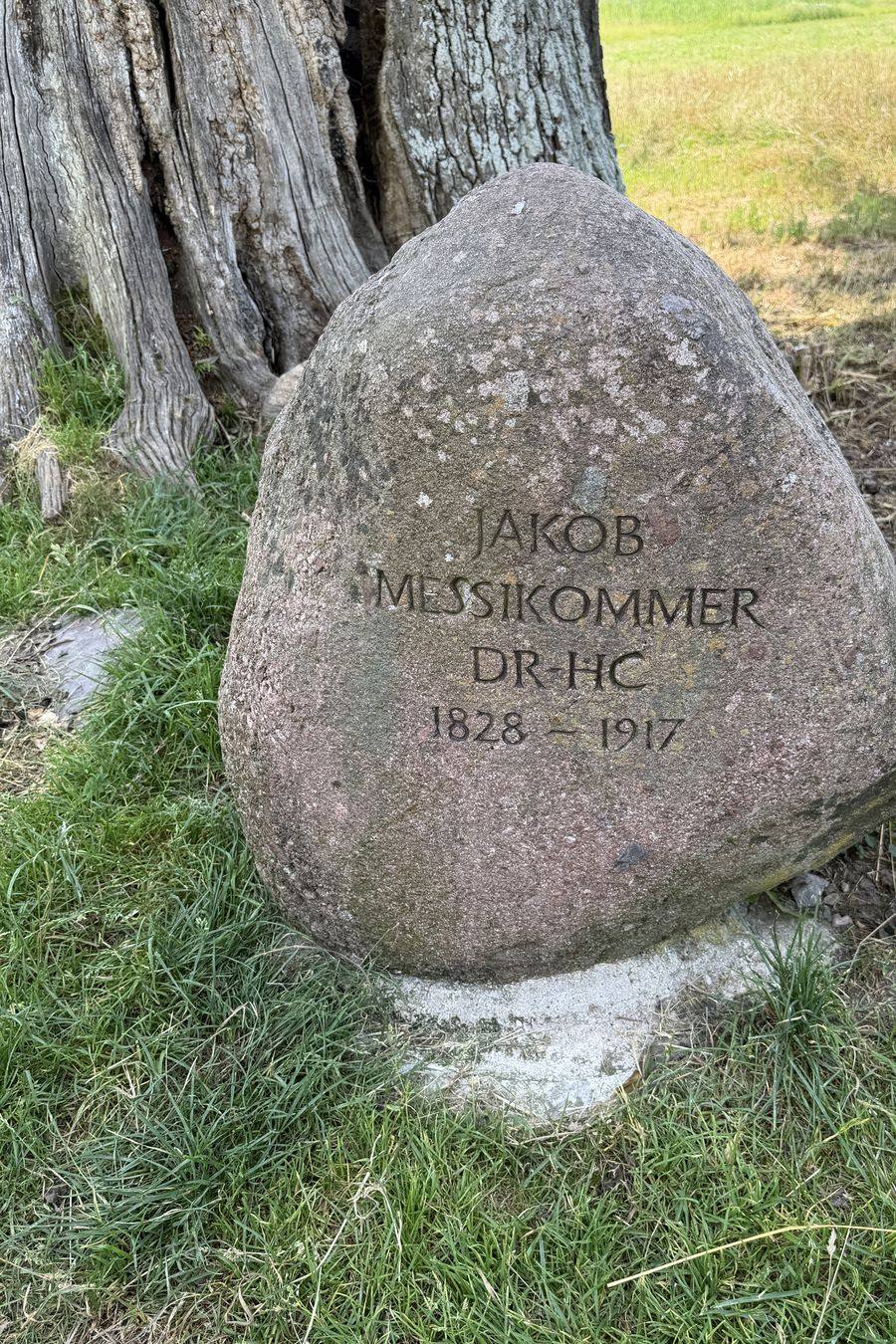Gedenkstein für Jakob Messikommer im Robenhauser Riet