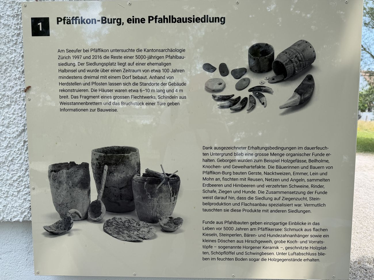 Infotafel Pfäffikon-Burg, eine Pfahlbausiedlung, mit Keramik- und Schmuckfunden